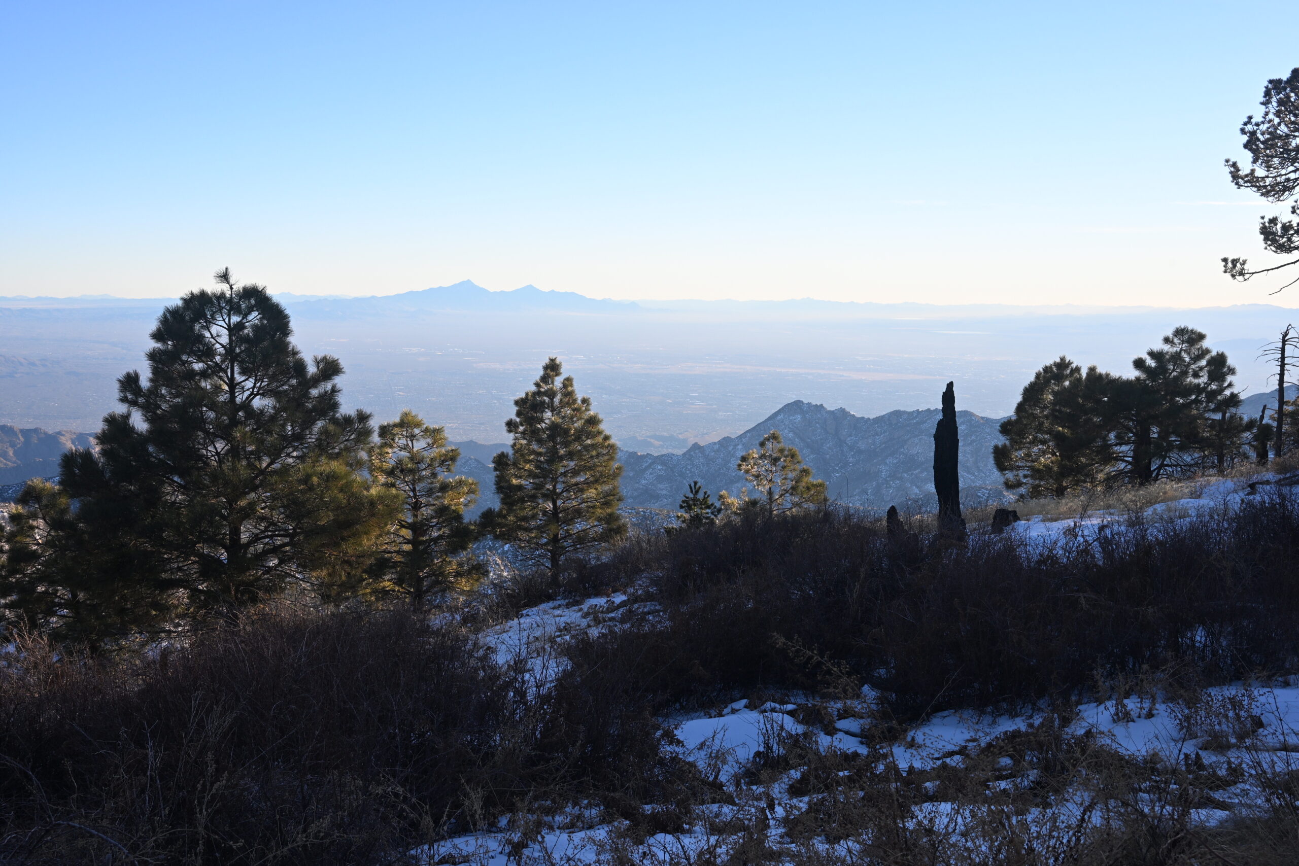 Picture facing South from the top of Mt. Lemmon near the Sky Center. Mount Wrightson and the Santa Rita range are visible in the distance. Tucson is covered by a light fog.